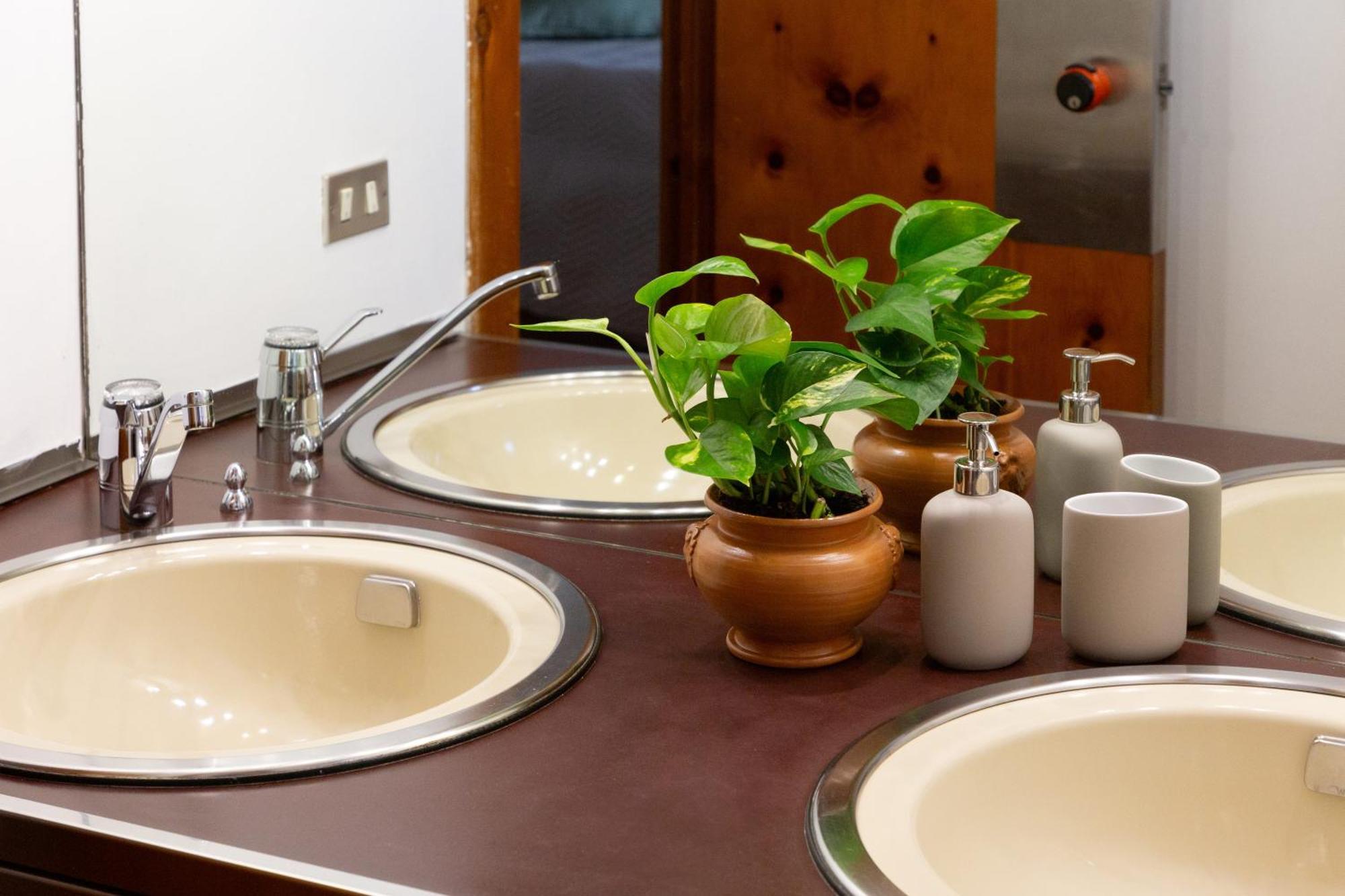 B&B Le Foglie D'Ulivo Bari Bagian luar foto