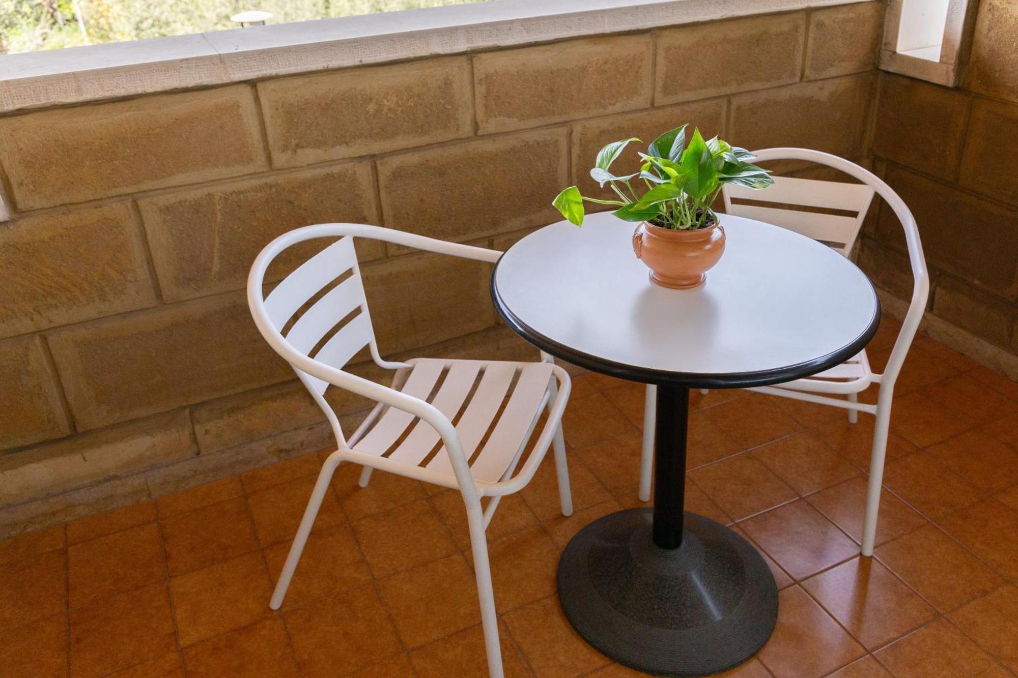 B&B Le Foglie D'Ulivo Bari Bagian luar foto