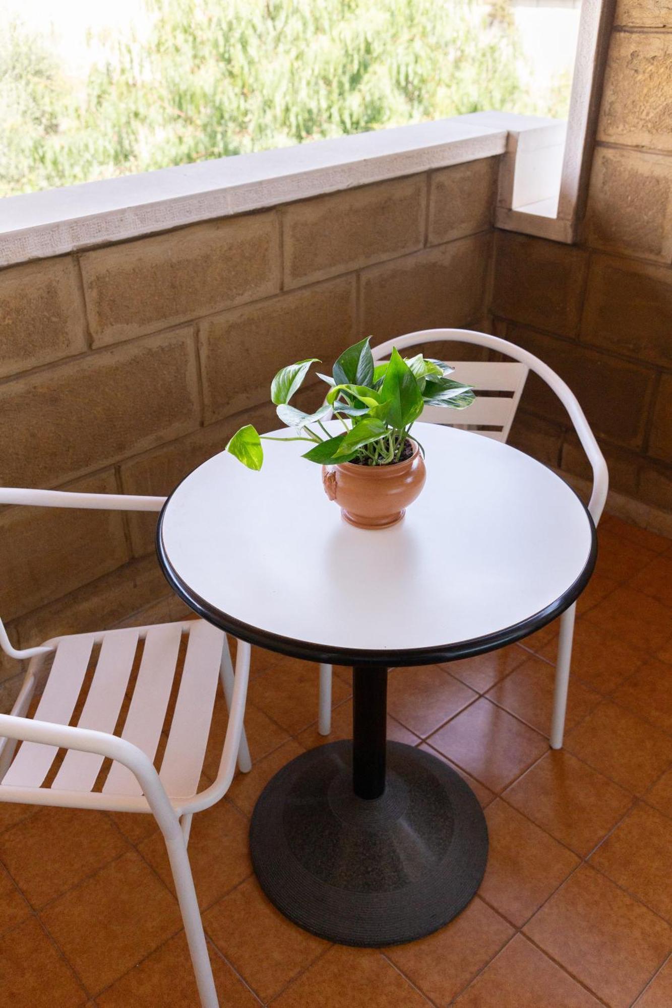 B&B Le Foglie D'Ulivo Bari Bagian luar foto